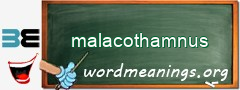 WordMeaning blackboard for malacothamnus